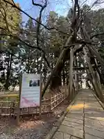 八乙女八幡神社(山形県)