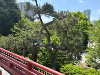 清水観音堂(東京都)
