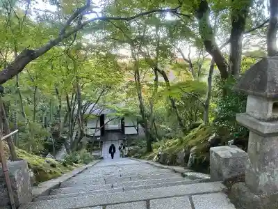 常寂光寺の{uncategorized: "未分類", other: "その他", undefined: "問題あり", building: "その他建物", grave: "お墓", sacred_gate: "鳥居", guardian: "狛犬", statue: "像", buddha: "仏像", history: "歴史", nature: "自然", garden: "庭園", animal: "動物", pagoda: "塔", temizu: "手水舎", mountain_gate: "山門・神門", sanctuary: "本殿・本堂", subordinate: "末社・摂社", art: "芸術", scenery: "景色", jizo: "地蔵", ema: "絵馬", goshuin: "御朱印", omikuji: "おみくじ", items: "授与品その他", amulet: "お守り", goshuincho: "御朱印帳", eats: "食事", festival: "お祭り", votive_dance: "神楽", shichigosan: "七五三参", wedding: "結婚式", experience: "体験その他", initially: "初詣", around: "周辺", anti_infection: "感染症対策"}