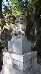 師岡熊野神社の狛犬