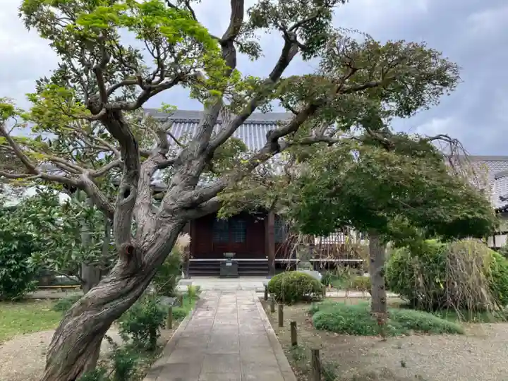 瑞雲寺(神奈川県)