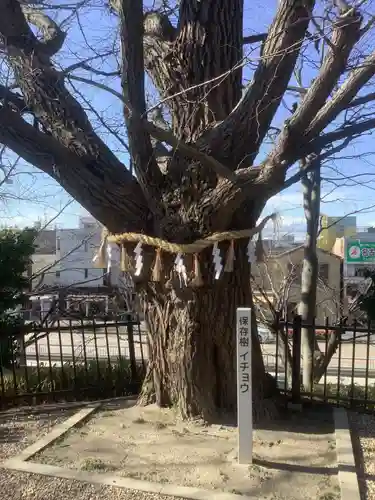 眞好天神社の庭園