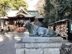 谷保天満宮(東京都)