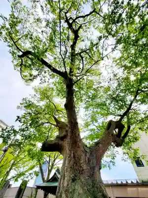 阿邪訶根神社(福島県)