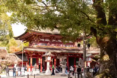 太宰府天満宮(福岡県)