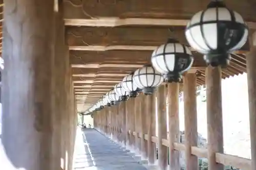 長谷寺(奈良県)