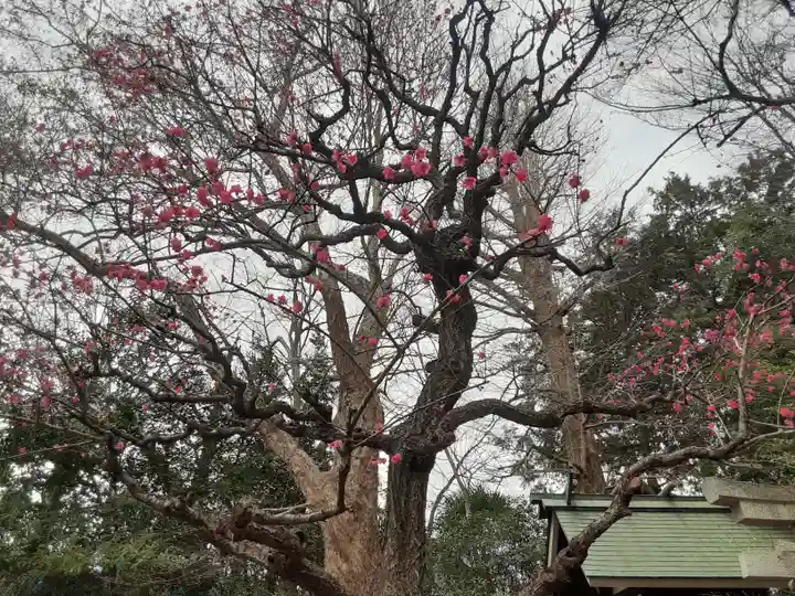 小金井神社(東京都)