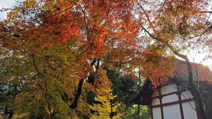 談山神社(奈良県)