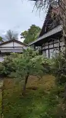 隨心院（随心院）(京都府)