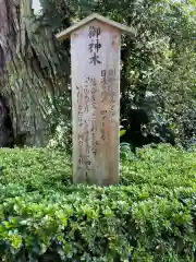 香取神宮(千葉県)