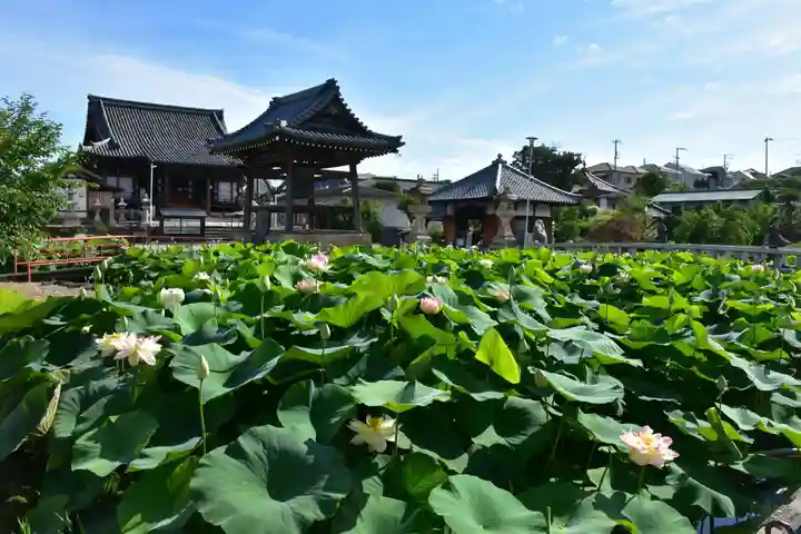 家原寺の自然