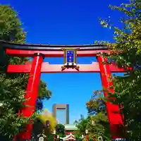 富岡八幡宮の鳥居