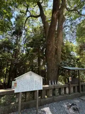久能山東照宮の{uncategorized: "未分類", other: "その他", undefined: "問題あり", building: "その他建物", grave: "お墓", sacred_gate: "鳥居", guardian: "狛犬", statue: "像", buddha: "仏像", history: "歴史", nature: "自然", garden: "庭園", animal: "動物", pagoda: "塔", temizu: "手水舎", mountain_gate: "山門・神門", sanctuary: "本殿・本堂", subordinate: "末社・摂社", art: "芸術", scenery: "景色", jizo: "地蔵", ema: "絵馬", goshuin: "御朱印", omikuji: "おみくじ", items: "授与品その他", amulet: "お守り", goshuincho: "御朱印帳", eats: "食事", festival: "お祭り", votive_dance: "神楽", shichigosan: "七五三参", wedding: "結婚式", experience: "体験その他", initially: "初詣", around: "周辺", anti_infection: "感染症対策"}