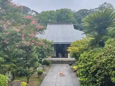 伊勢の国 四天王寺の本殿・本堂