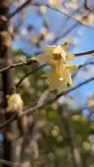 穴八幡宮(東京都)