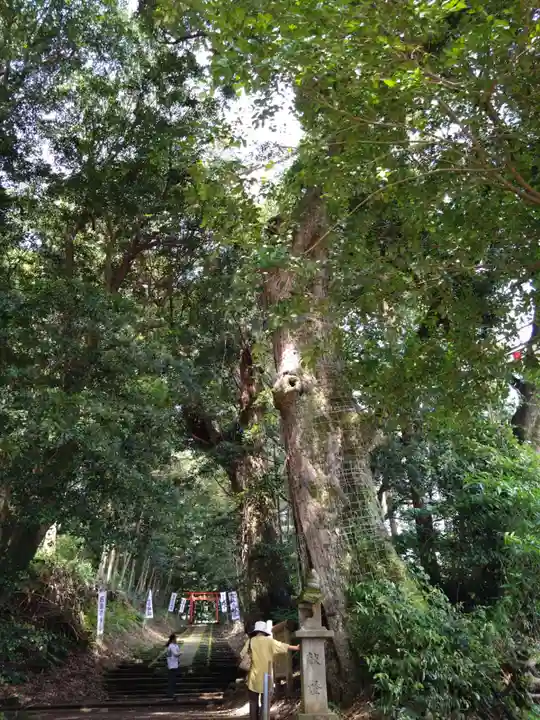 霧島岑神社(宮崎県)