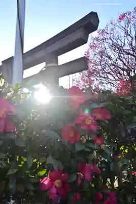 薭田神社(東京都)