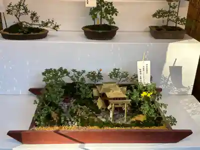 明治神宮(東京都)