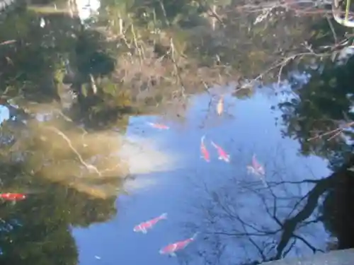 鶴岡八幡宮の庭園