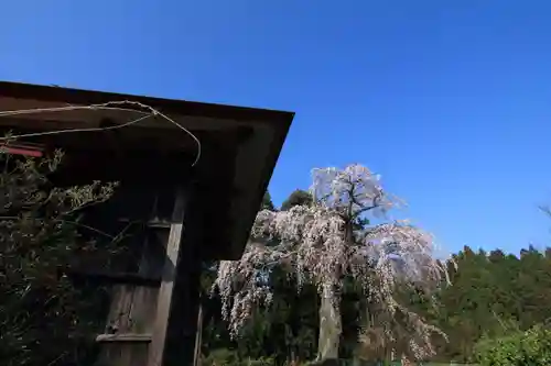 正観音堂の自然