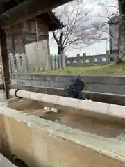 住吉神社の手水