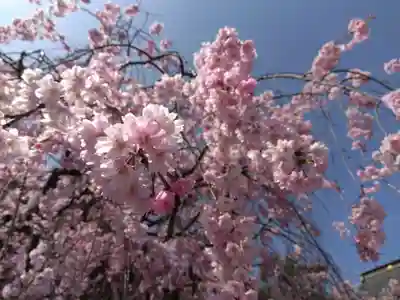 浄得寺(福井県)