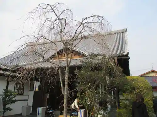 大法院(京都府)