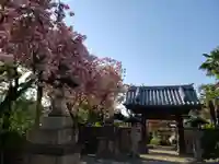 荘厳寺の山門・神門