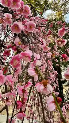 屯倉神社(大阪府)