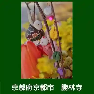 勝林寺(京都府)