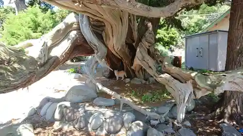 大瀬神社(静岡県)