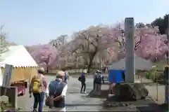 清雲寺の建物その他