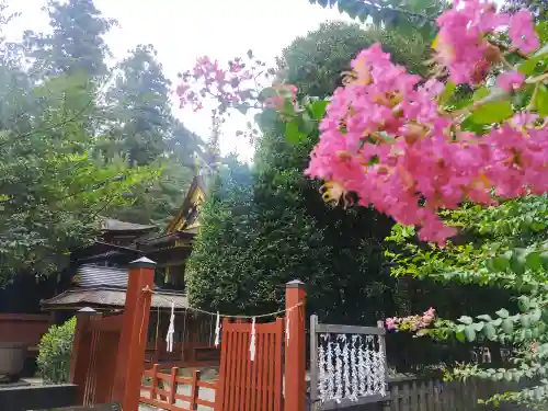 一之宮貫前神社(群馬県)