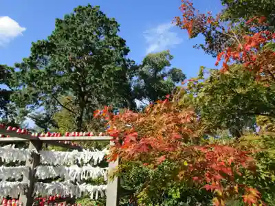 大安寺(奈良県)