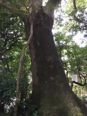 葭原神社(皇大神宮末社)の自然