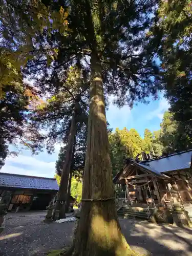 天日陰比咩神社の{uncategorized: "未分類", other: "その他", undefined: "問題あり", building: "その他建物", grave: "お墓", sacred_gate: "鳥居", guardian: "狛犬", statue: "像", buddha: "仏像", history: "歴史", nature: "自然", garden: "庭園", animal: "動物", pagoda: "塔", temizu: "手水舎", mountain_gate: "山門・神門", sanctuary: "本殿・本堂", subordinate: "末社・摂社", art: "芸術", scenery: "景色", jizo: "地蔵", ema: "絵馬", goshuin: "御朱印", omikuji: "おみくじ", items: "授与品その他", amulet: "お守り", goshuincho: "御朱印帳", eats: "食事", festival: "お祭り", votive_dance: "神楽", shichigosan: "七五三参", wedding: "結婚式", experience: "体験その他", initially: "初詣", around: "周辺", anti_infection: "感染症対策"}