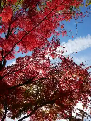 葭原観音堂の自然