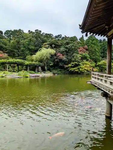 成田山新勝寺の庭園