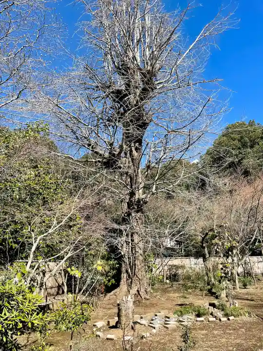 天翁院(栃木県)