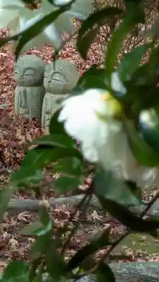柳谷観音　楊谷寺(京都府)