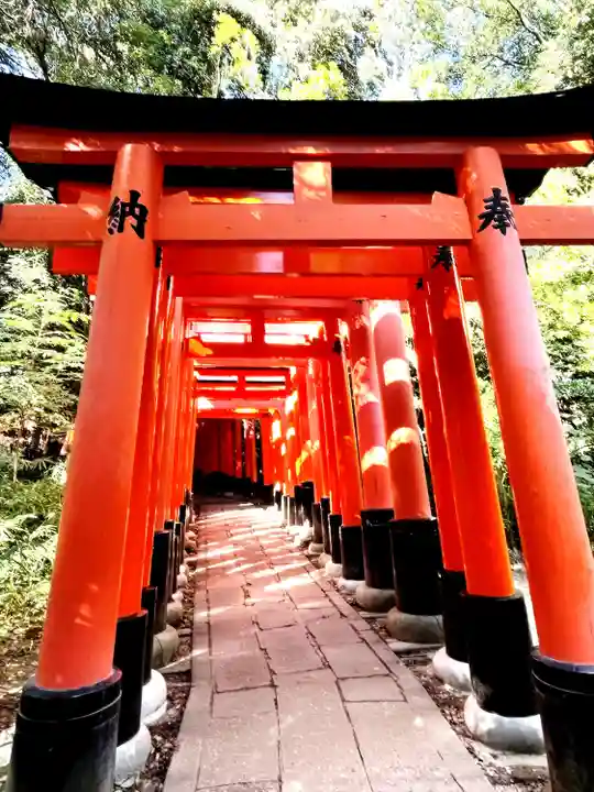 伏見稲荷大社(京都府)