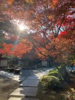 覚園寺(神奈川県)