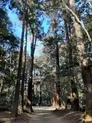 鹿島神宮(茨城県)