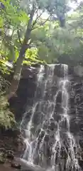 河口浅間神社の自然