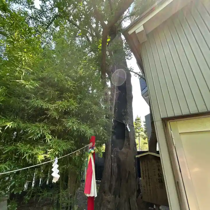東神奈川熊野神社(神奈川県)