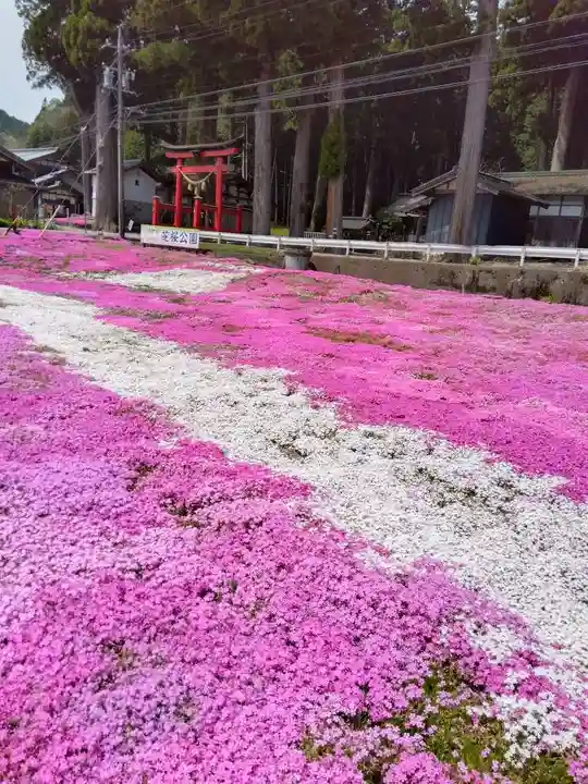 戸隠神社(岐阜県)