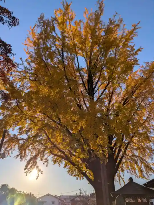 成願寺(東京都)
