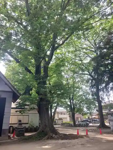 八坂神社(茨城県)