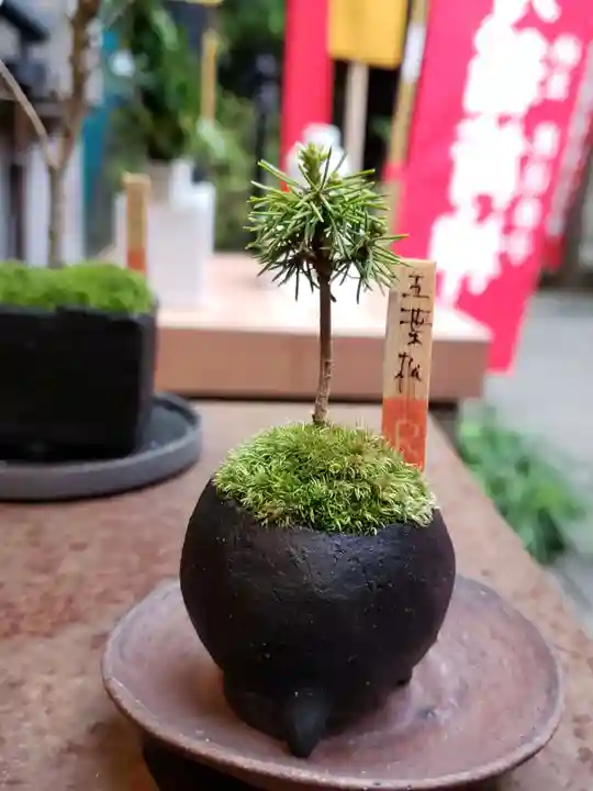 陽運寺(東京都)