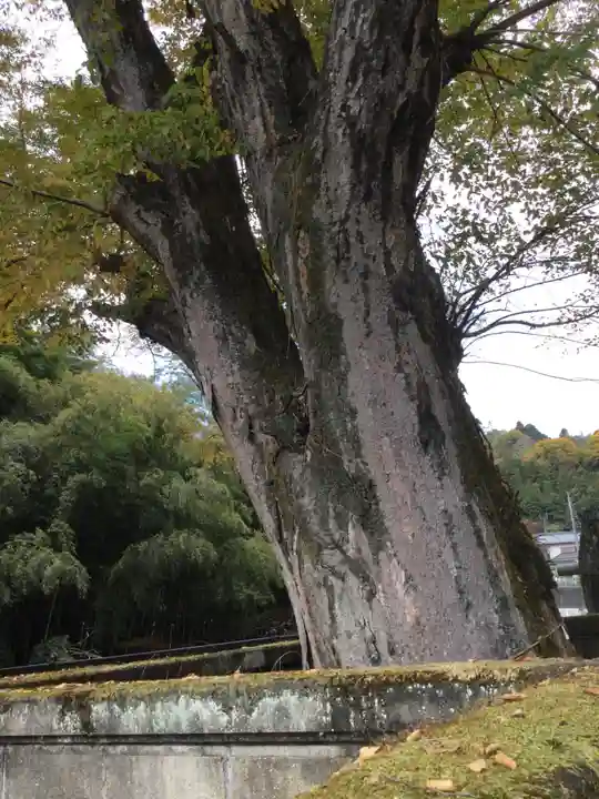 東照宮(神奈川県)